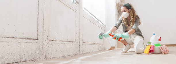 Why You Should Choose Our Mold Remediation Services in Helena West Helena, AR